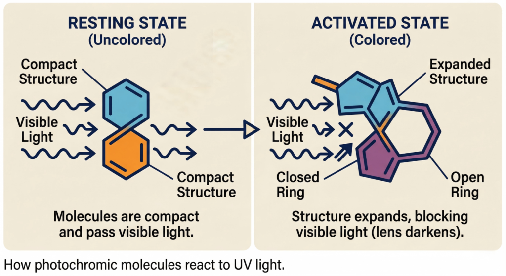 What are Photochromic Lenses